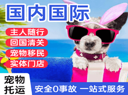 太原航空空运国际宠物托运 【国